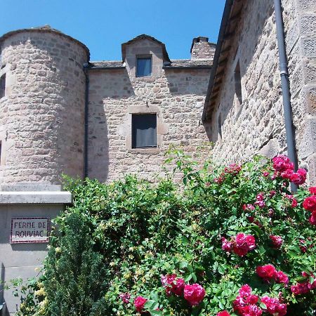 Gite De Rouviac Castelnau-Pégayrols Exterior foto